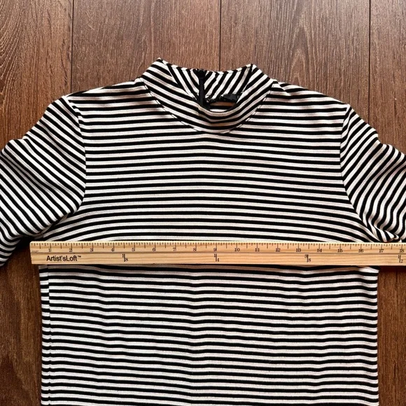 Striped Black and White Dress with Mock Neck Collar - Picture 6 of 9